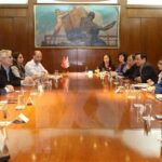 Vietnam looks to boost health cooperation with Argentina hinh anh 1