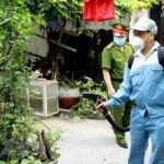 Health ministry urges stronger efforts to prevent dengue fever hinh anh 1