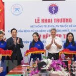 Telehealth centre inaugurated in Ho Chi Minh City hinh anh 1