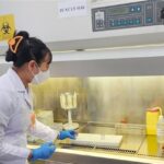 Serum bank for controlling infectious diseases operational in HCM City hinh anh 1