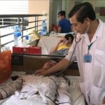 HCM City records five dengue deaths in six months hinh anh 1