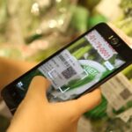 HCM City begins programme to trace vegetable origins hinh anh 1