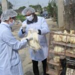 Provinces take action against disease outbreaks among cattle, poultry hinh anh 1