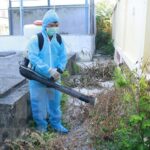 Ha Nam: Medical workers get training on effective dengue prevention hinh anh 1