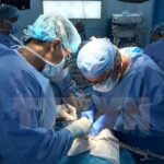 Organ transplantation makes giant leap in 2018 hinh anh 1