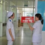 Two new Zika cases found in southern region hinh anh 1