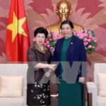 WHO called to help Vietnam improve public health care hinh anh 1