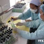 HCM City plans additional testing for TB hinh anh 1